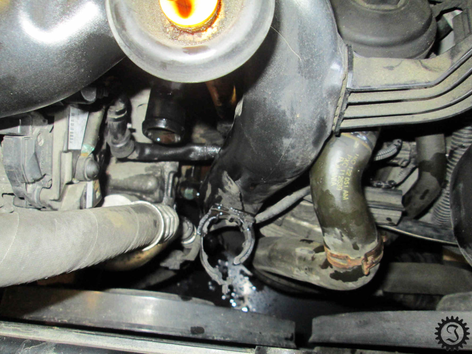 Thermostat wechseln 1.9 TDI Audi A3 8P Jones' Werkstatt