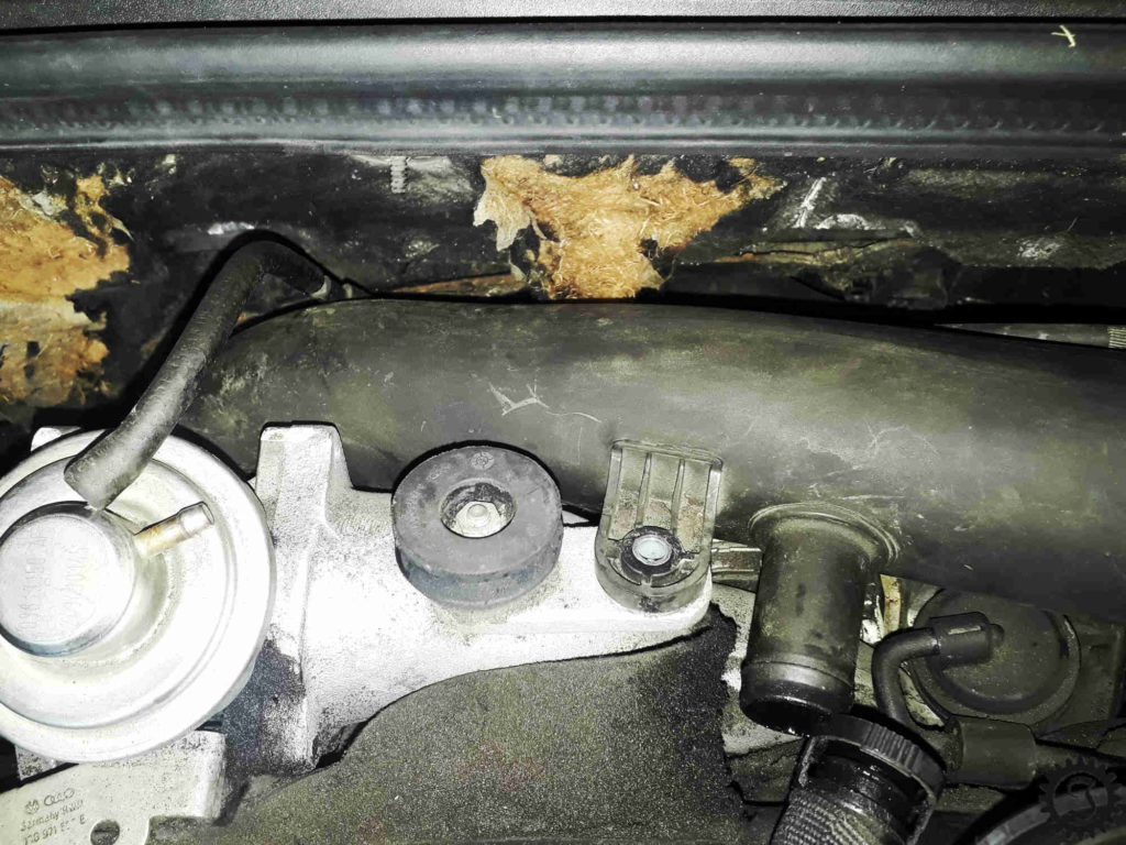 A3 8P Zahnriemenwechsel 13 Jones' Werkstatt