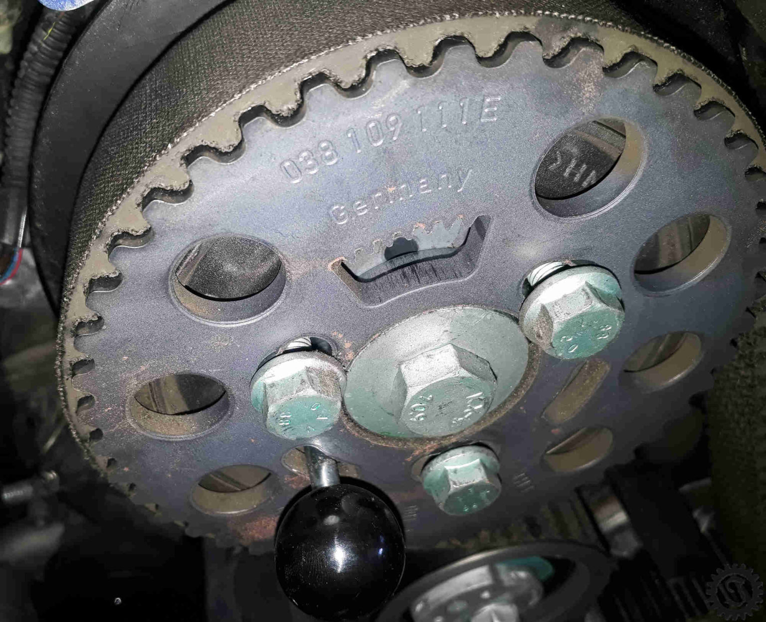 A3 8P Zahnriemenwechsel 48 Jones' Werkstatt