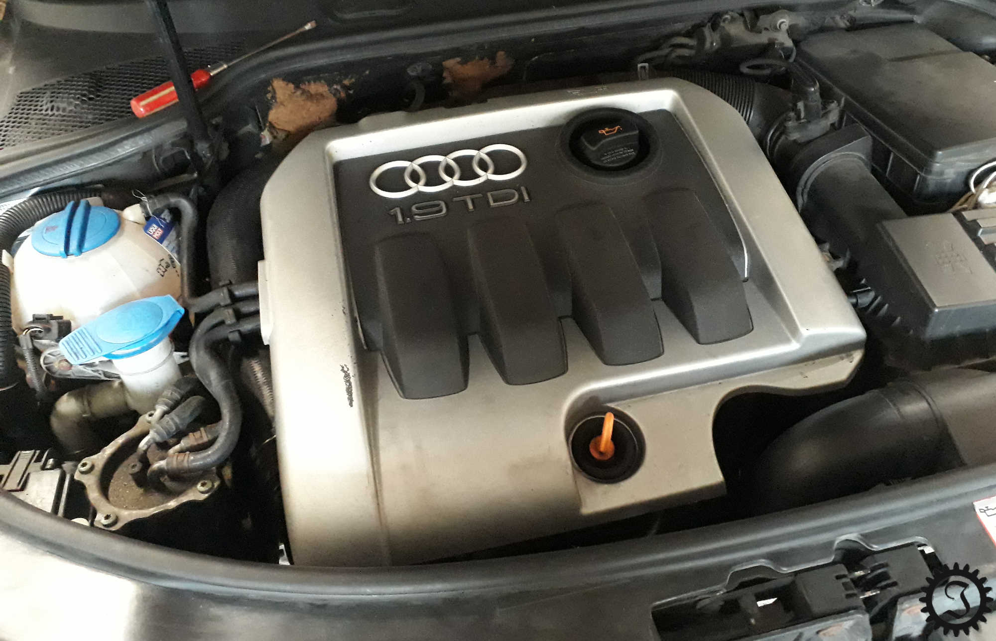 Zahnriemenwechsel beim Audi A3 8P 1.9 TDI - Jones' Werkstatt